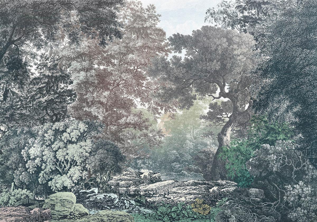 Fototapete R4-060 Fairytale Forest - Multicolor, Trend (400/280cm)