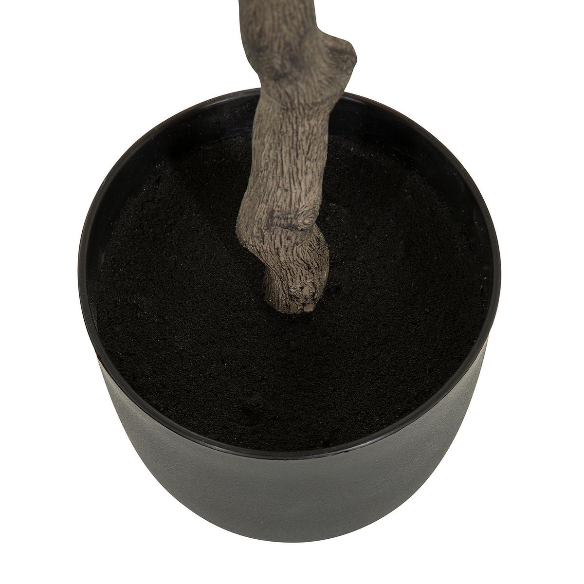 Kunstpflanze Olive - Schwarz/Braun, Basics, Kunststoff (45/120/45cm) - MID.YOU