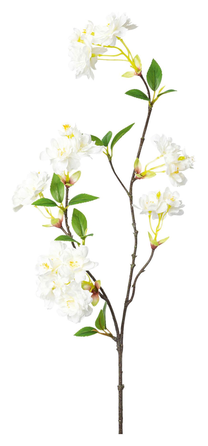 Cseresznyevirág Ág Geli - fehér/zöld, Basics, műanyag (66 cm)