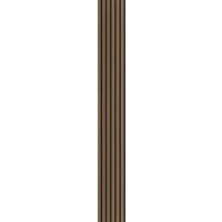 Akustikpaneel Eiche Rustikal - Eichefarben, KONVENTIONELL, Holz/Kunststoff (250/30/1.1cm) - Novel