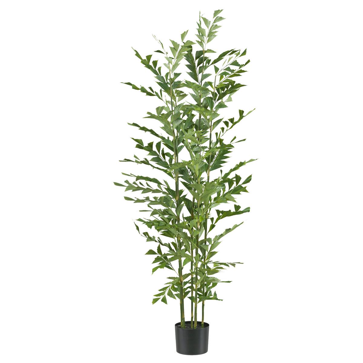 Kunstpflanze Palmen Grün/schwarz, 150 Cm - Schwarz/Grün, Design, Kunststoff (150cm) - P & B