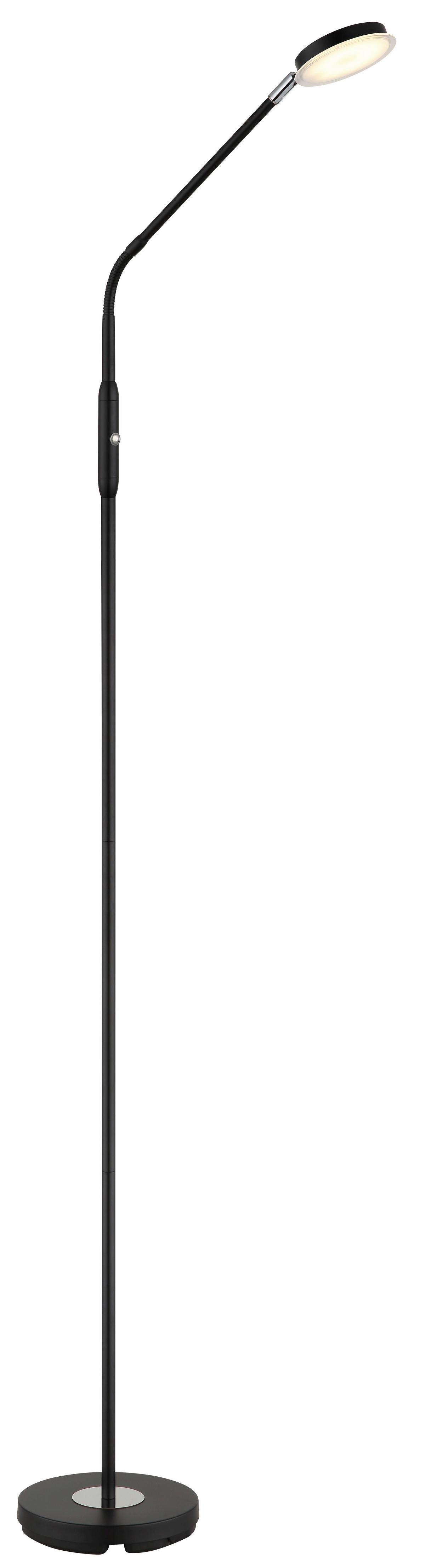 STOJACÍ LED LAMPA SILVIO - černá/čiré, Design, kov/plast (52/20/173cm)