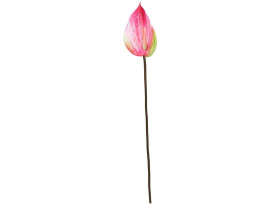 Umelá Kvetina Anthurie I - zelená/ružová, Romantický / Vidiecky, plast (76cm) Umelá Kvetina Anthurie I - zelená/ružová, Romantický / Vidiecky, plast (76cm)
