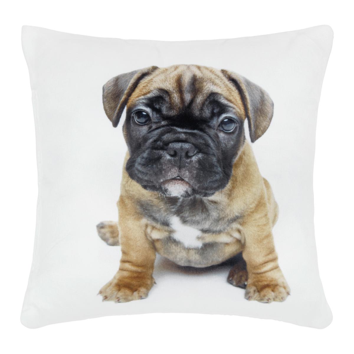 Dekorační polštář Mini, 25/25cm - vícebarevná, textil (25/25cm) - Modern Living