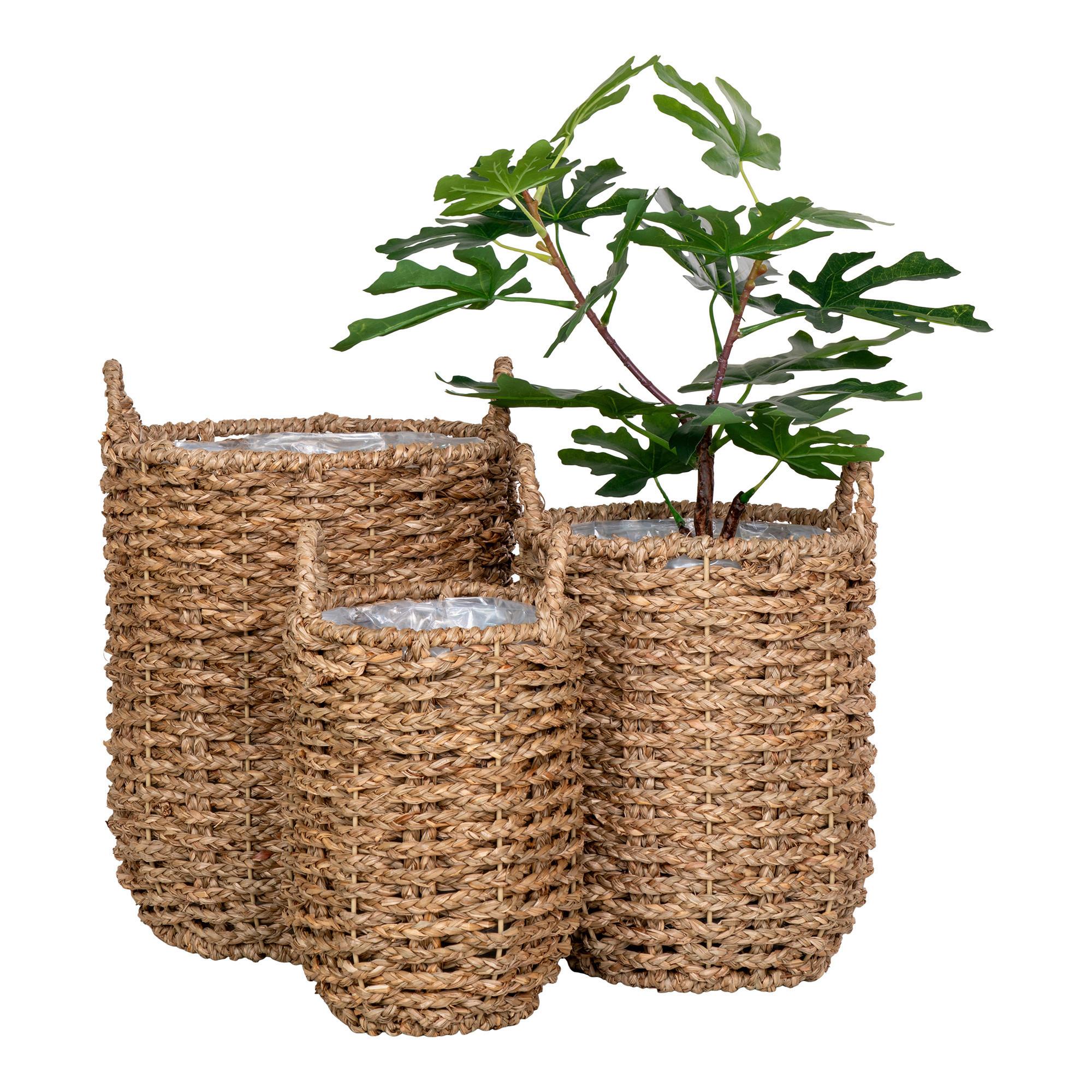 Übertopf-Set Hue Braun 3-teilig - Braun, Design, Holz