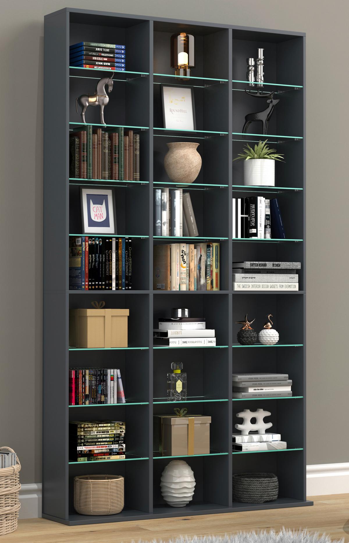 Regal Zilas Anthrazit Dekor B: 102cm - Anthrazit, Design, Glas/Holzwerkstoff (102/181/23cm) - MID.YOU