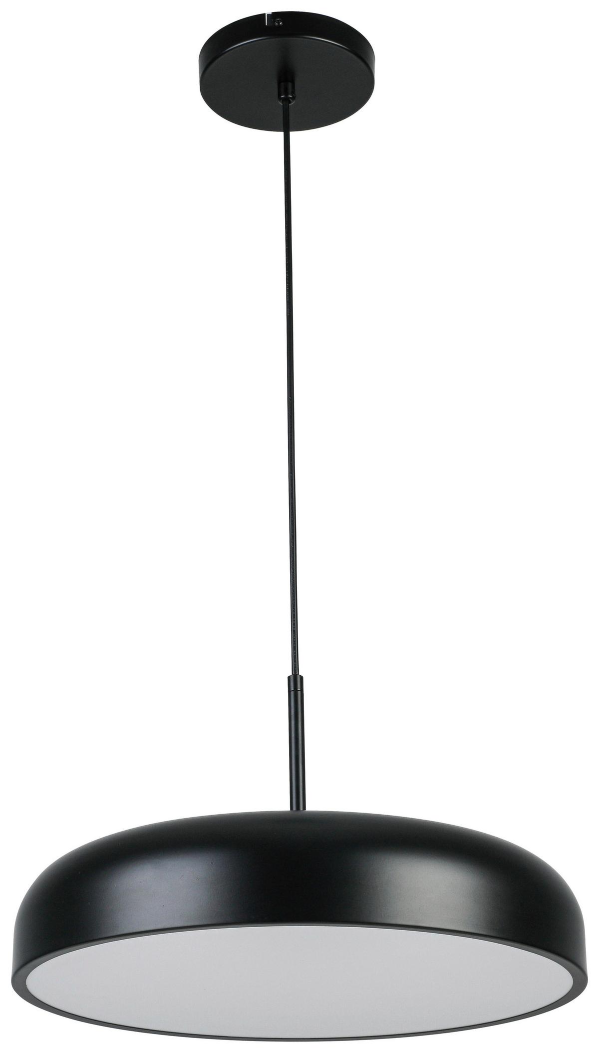 ZÁVESNÉ LED SVIETIDLO MIKE - priehľadné/čierna, Modern, kov/plast (40/130cm) - Mömax