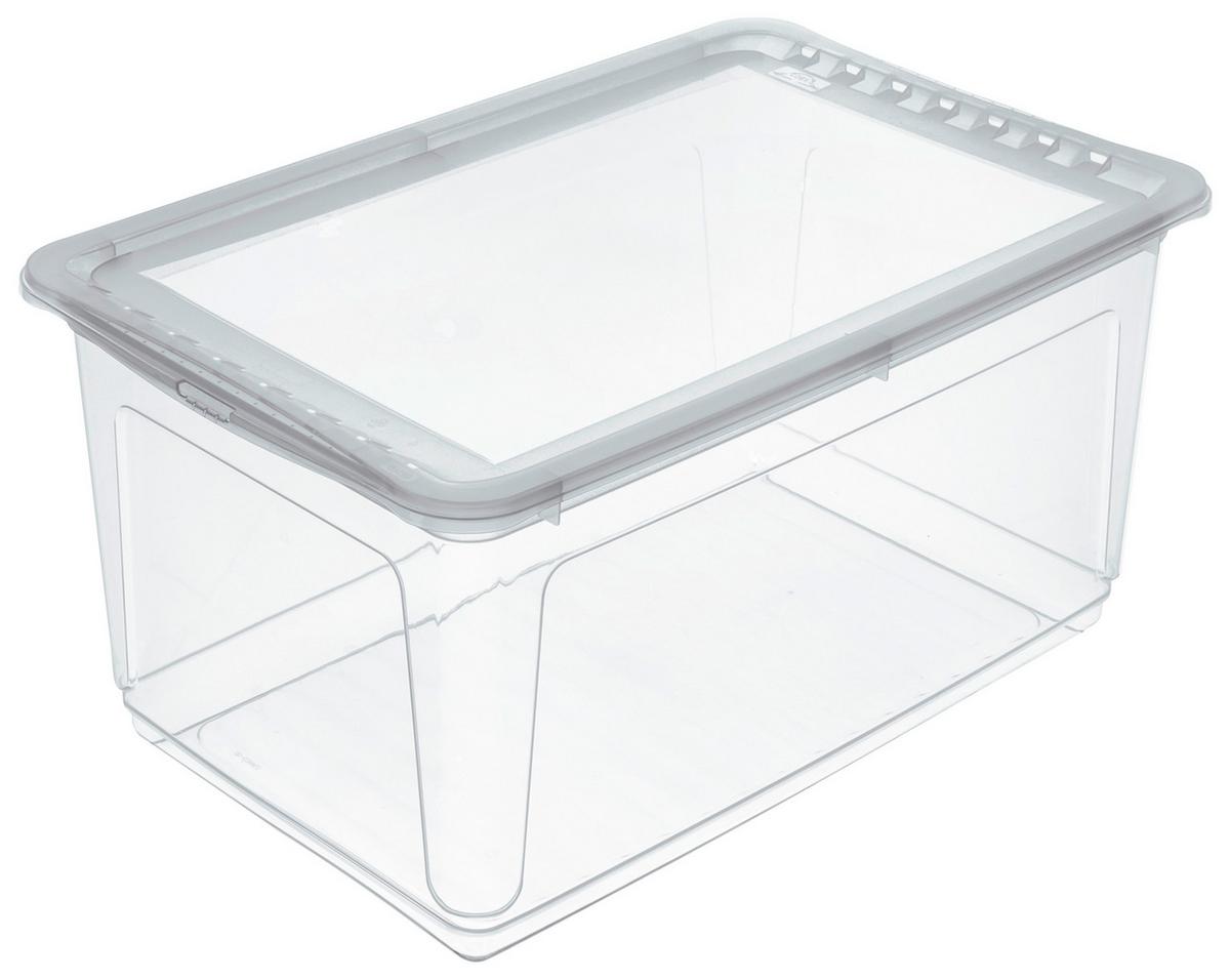 Aufbewahrungsbox Mit Deckel 43 L - Transparent, Basics, Kunststoff (59/39/27cm) - Homezone