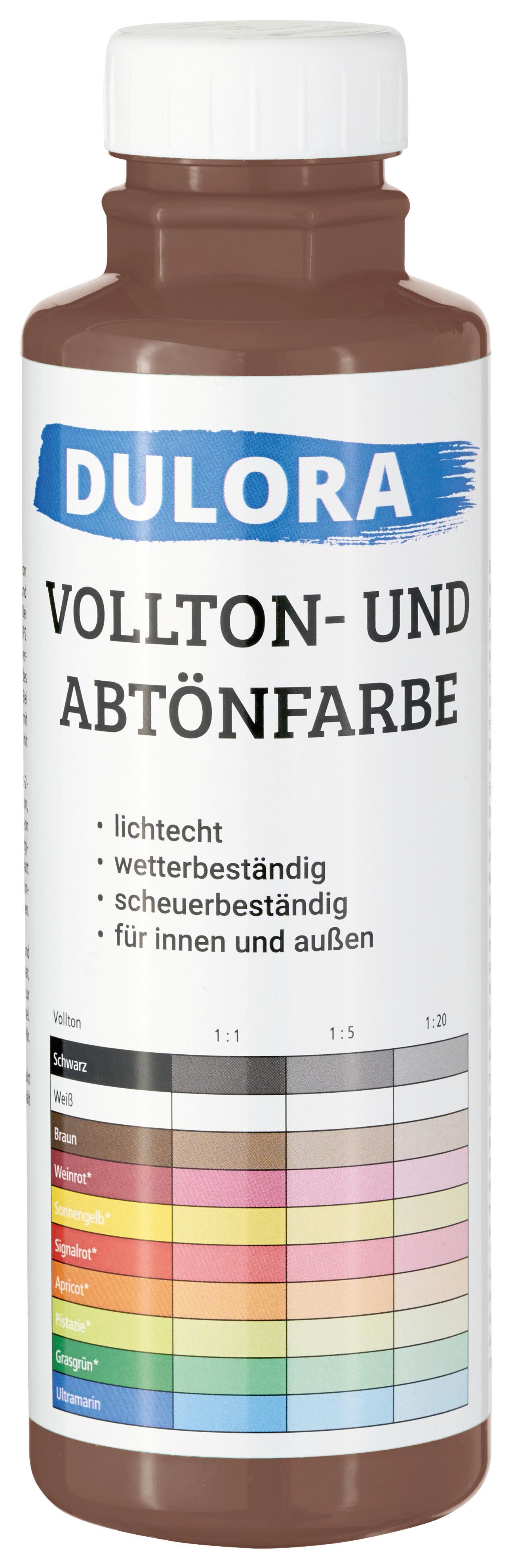 Abtönfarbe Braun 500 Ml Für 3 M2 Dispersionsfarbe - Braun, Basics (0,5l) - Dulora