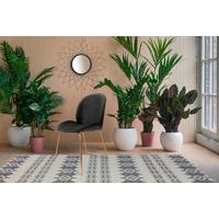 Sada stoličiek sivá - sivá/mosadzná, Modern, kov/plast (47/90/59cm) - Kayoom