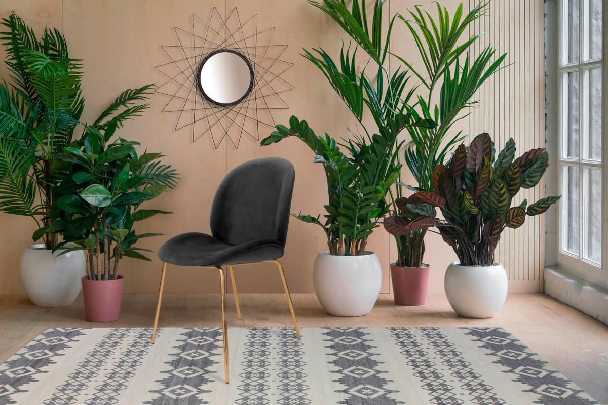 Sada stoličiek sivá - sivá/mosadzná, Modern, kov/plast (47/90/59cm) - Kayoom