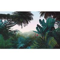Vliestapete Jungle Morning - Multicolor, Basics (400/250cm) - Komar