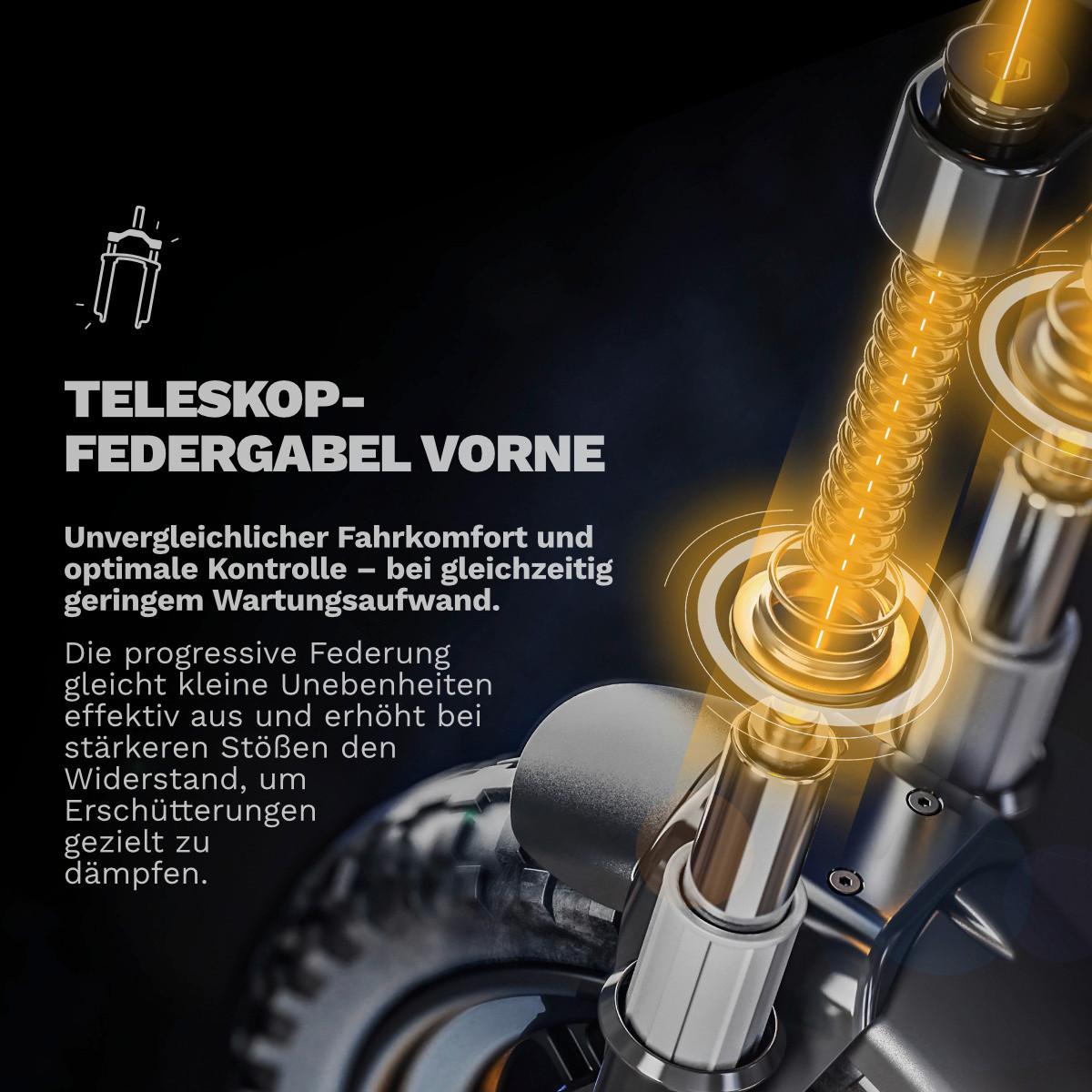 Elektroscooter CS-PURE-AIR6-PP -MG, StVO Konform - Schwarz, Basics, Metall (69/120/123cm)