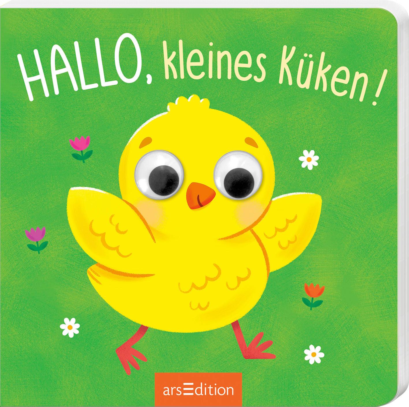 Hallo kleines Küken ab 12 Monaten - Multicolor, LIFESTYLE, Papier (16,0/16,0/1,3cm)