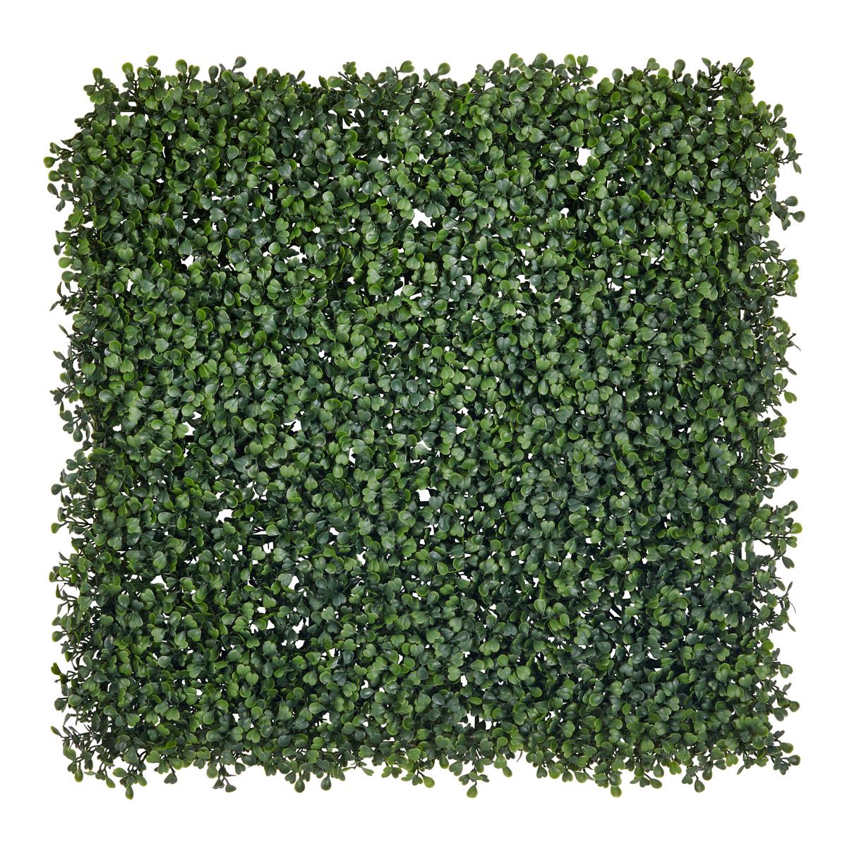 Kunstpflanze Dekogras Grün BxL: 50x50 cm Rory - Grün, MODERN, Kunststoff (50/50cm) - Luca Bessoni