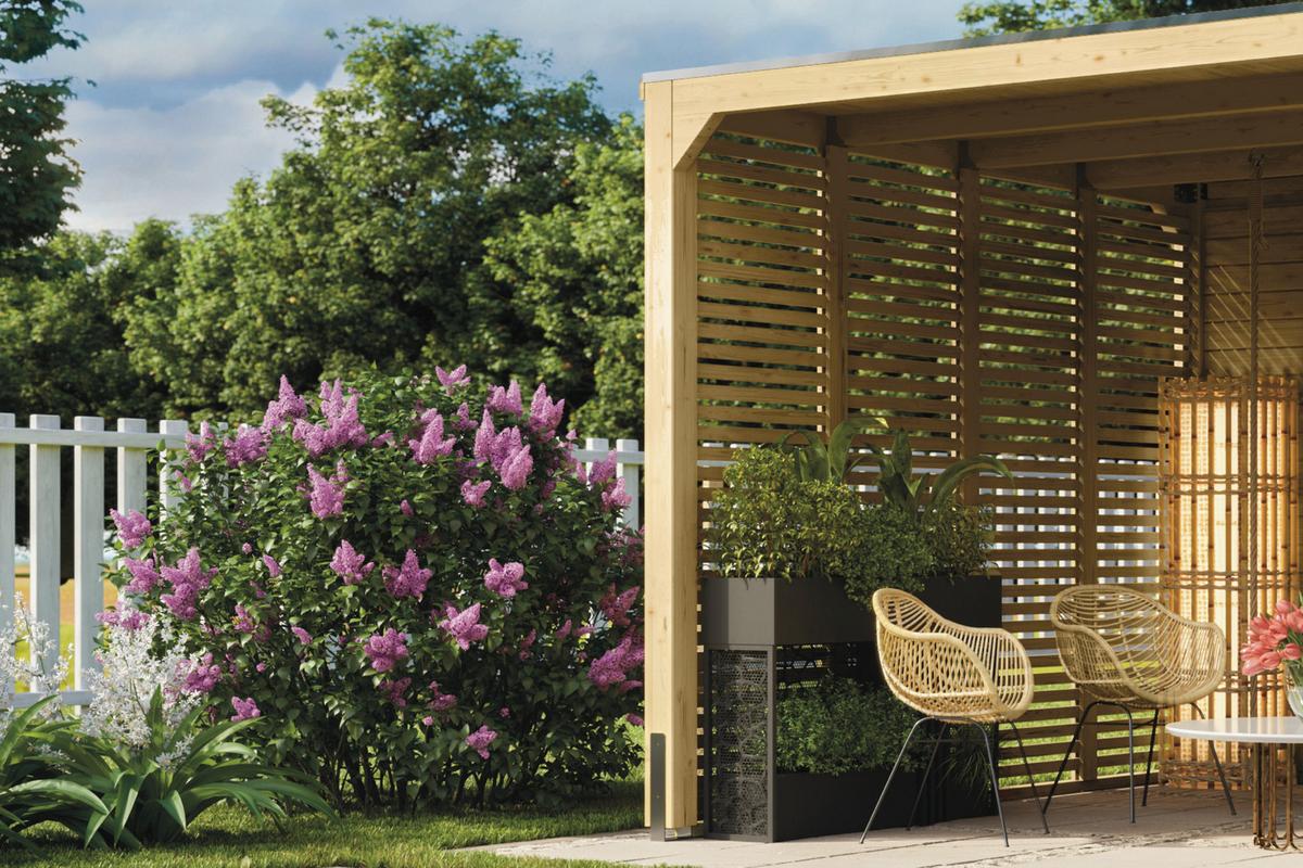 Terrassenüberdachung Creta 40157 Creta - Fichtefarben, Basics, Holz (320/239/160cm)