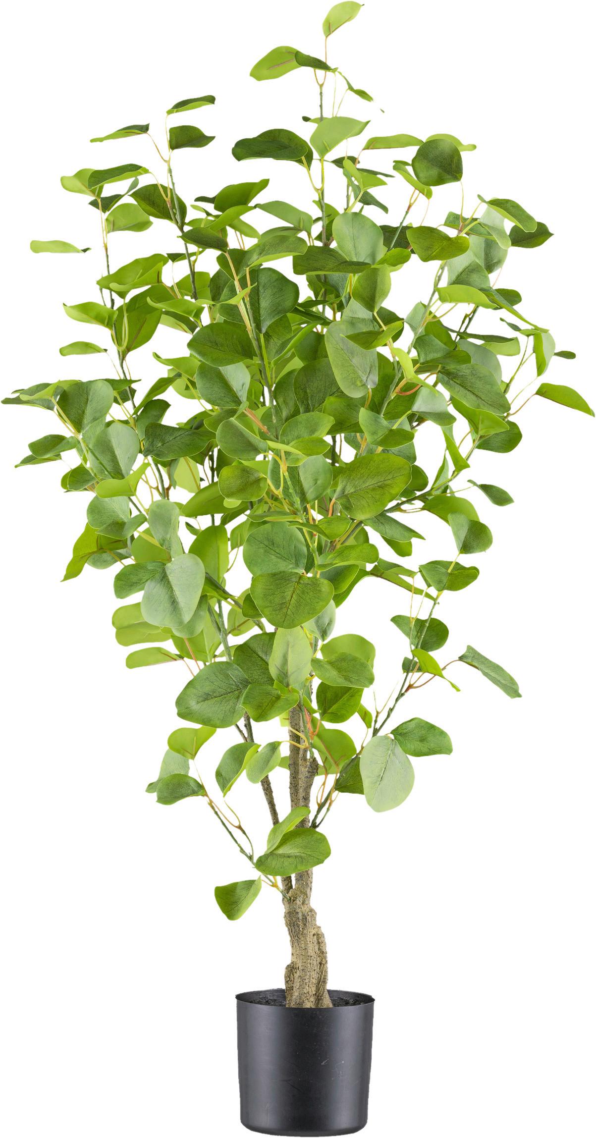 Kunstpflanze Eukalyptus H: 90 cm - Braun/Grün, Design, Kunststoff (90cm) - P & B