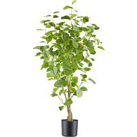 Kunstpflanze Eukalyptus H: 90 cm - Braun/Grün, Design, Kunststoff (90cm) - P & B