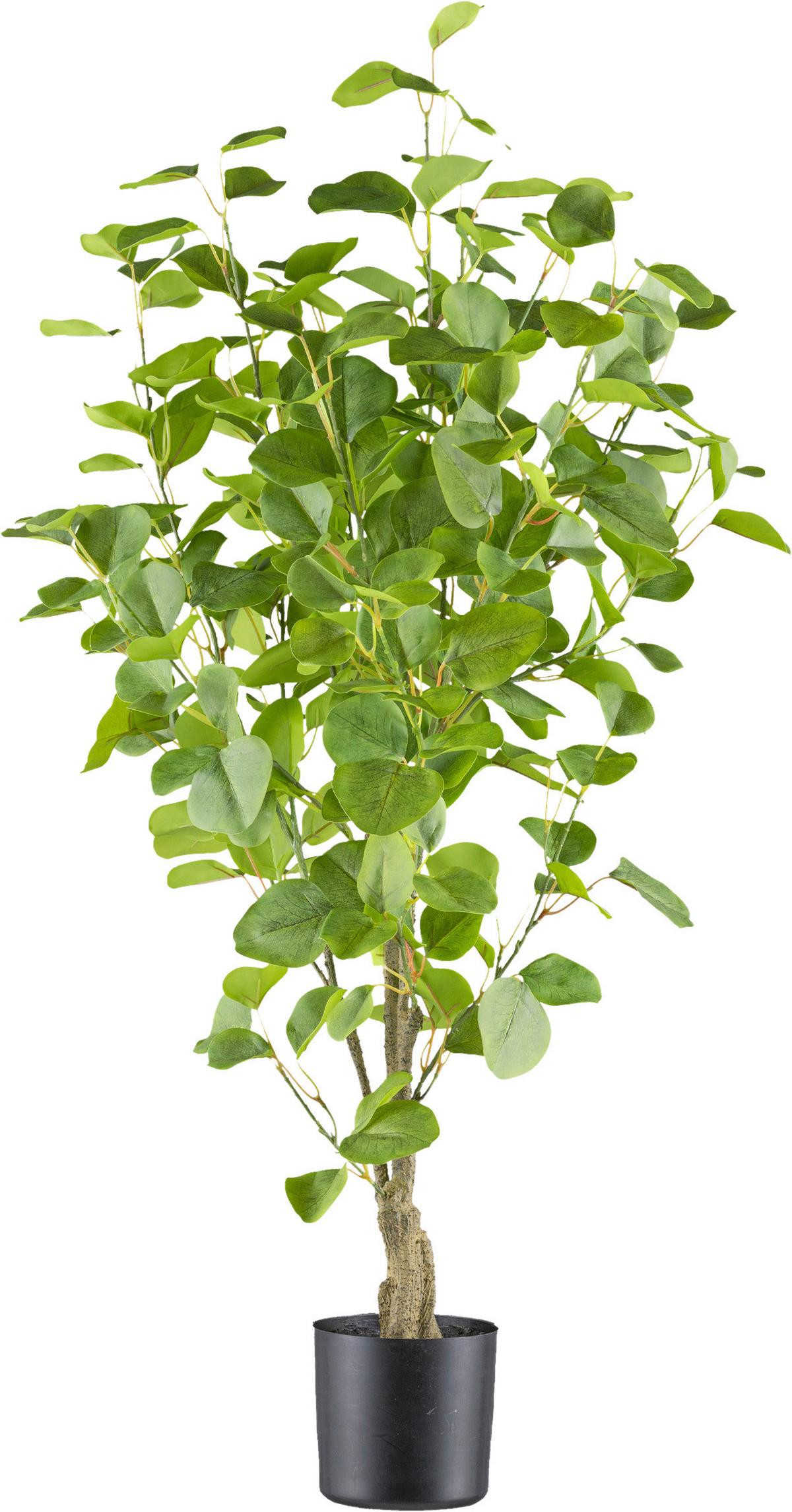 Kunstpflanze Eukalyptus H: 90 cm - Braun/Grün, Design, Kunststoff (90cm) - P & B