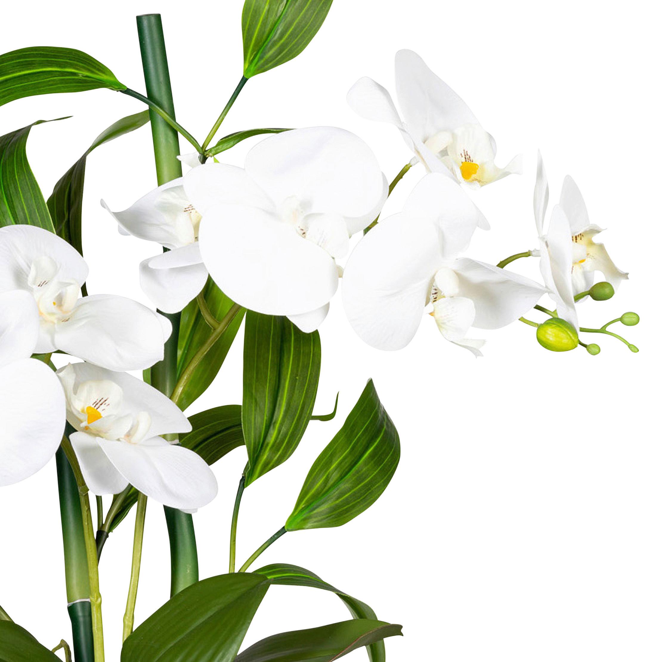 Kunstpflanze Orchideen Braun/Grün/Weiß, 60 cm - Braun/Weiß, Design, Kunststoff/Stein (60cm) - P & B