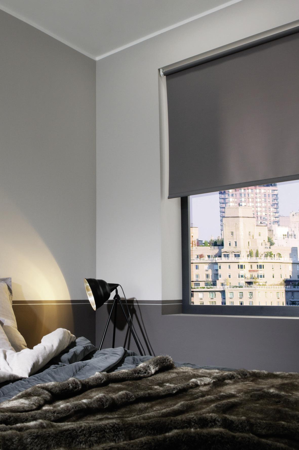 Rollo Win Grau B: 60 cm - Grau, Design, Textil (60/160cm) - Homeware