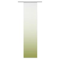 FLÄCHENVORHANG Madrid Grün B: 60 cm - Grün, Design, Textil (60/245cm) - Schmidt W. Gmbh