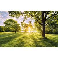 Vliestapete Psh054-Vd4 Golden Moment - Blau/Grün, Natur (400/250cm) - Komar