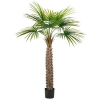 Kunstpflanze Fächerpalme Kunststoff, Grün, H: 175 cm - Schwarz/Braun, Basics, Kunststoff (175cm) - P & B