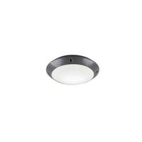 Außendeckenleuchte R60501042 Camaro - Basics (26/8,5cm)