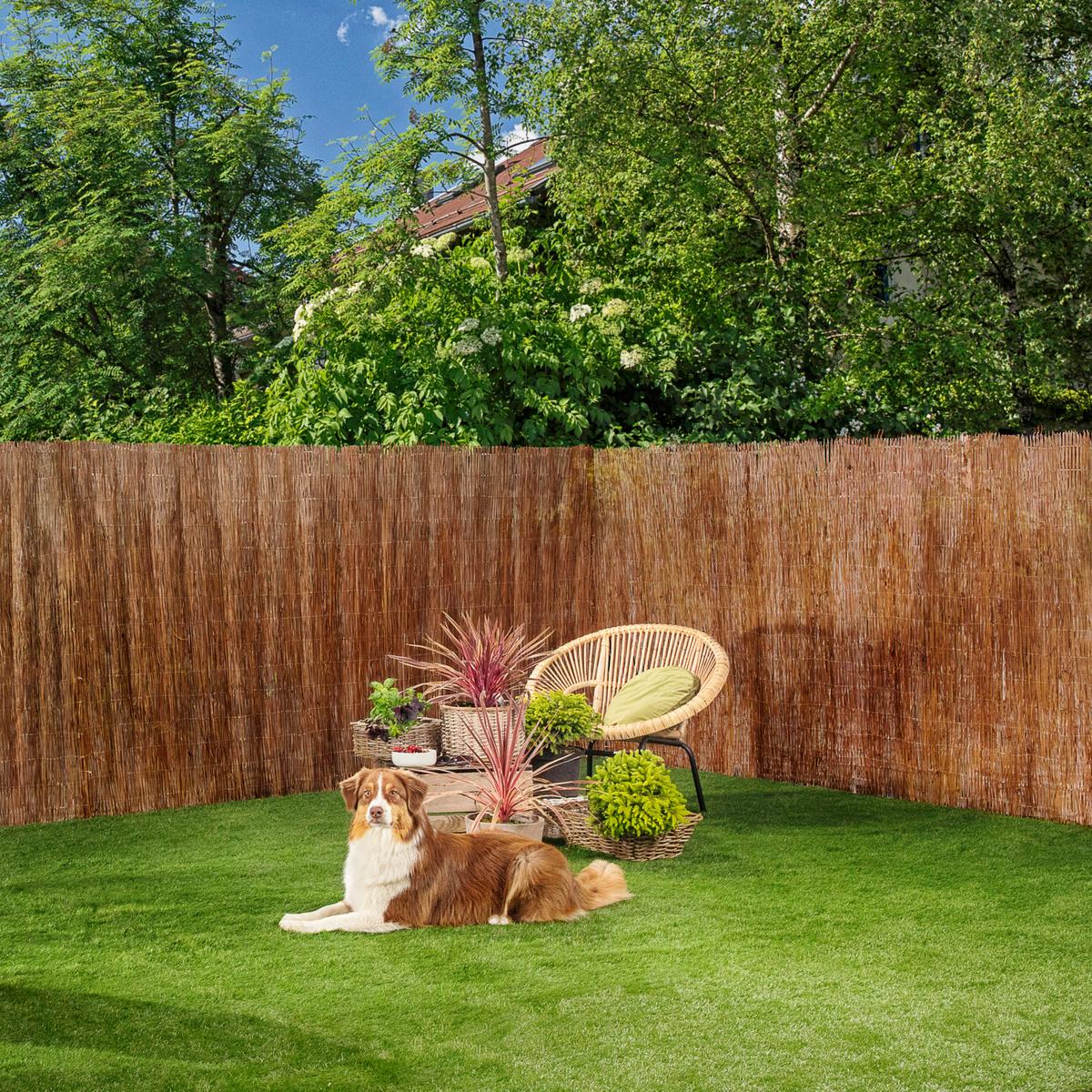 Sichtschutz Inaka Naturfarben - Naturfarben, Basics, Naturmaterialien (300/90cm)