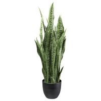 Kunstpflanze Sukkuleten Grün/Schwarz, 90 cm - Schwarz/Grün, Design, Kunststoff (90cm) - P & B