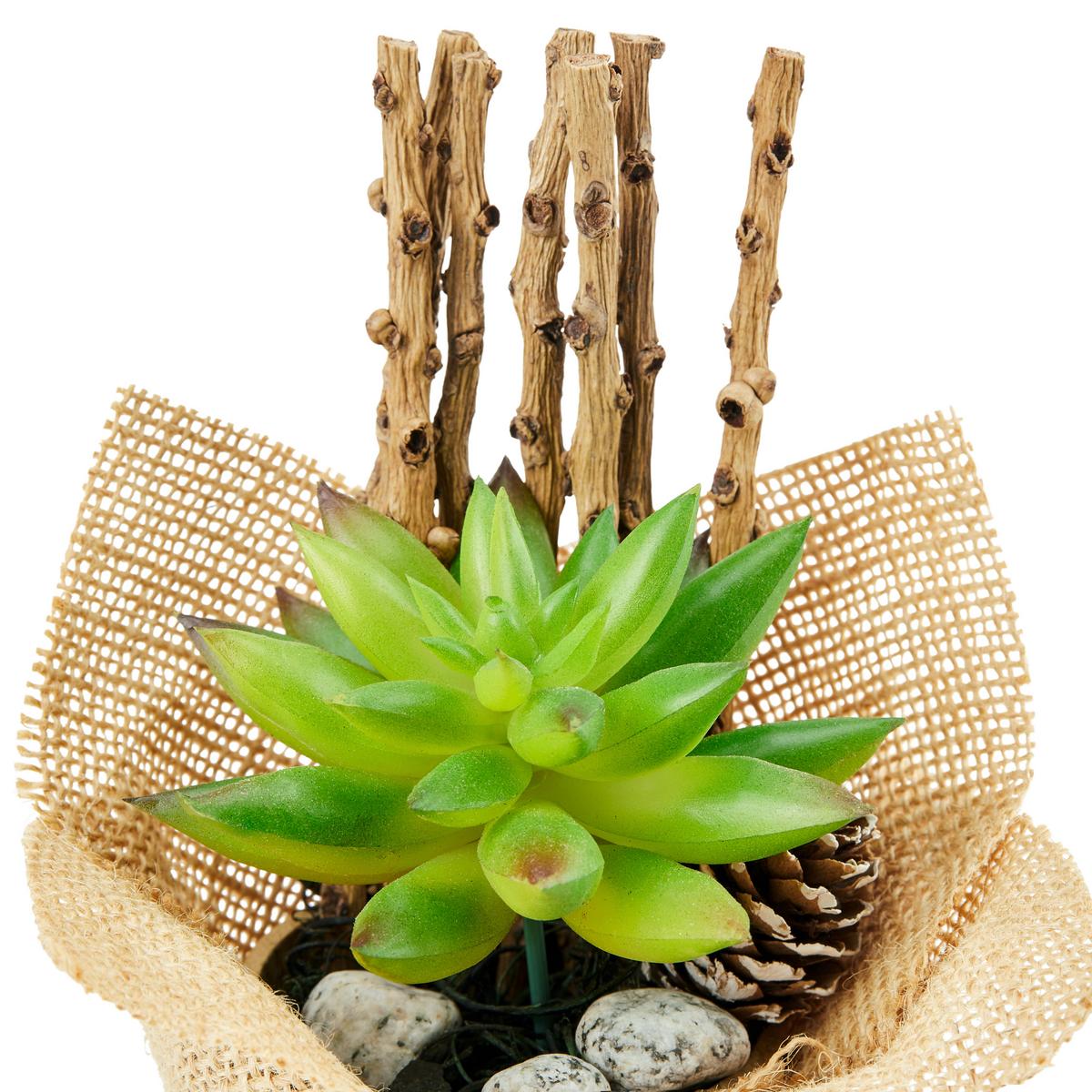 Kunstpflanze Sukkulente Grün/ Naturfarben L: 16 Cm, Sunniva - Naturfarben/Braun, MODERN, Karton/Naturmaterialien (7/16cm) - Luca Bessoni