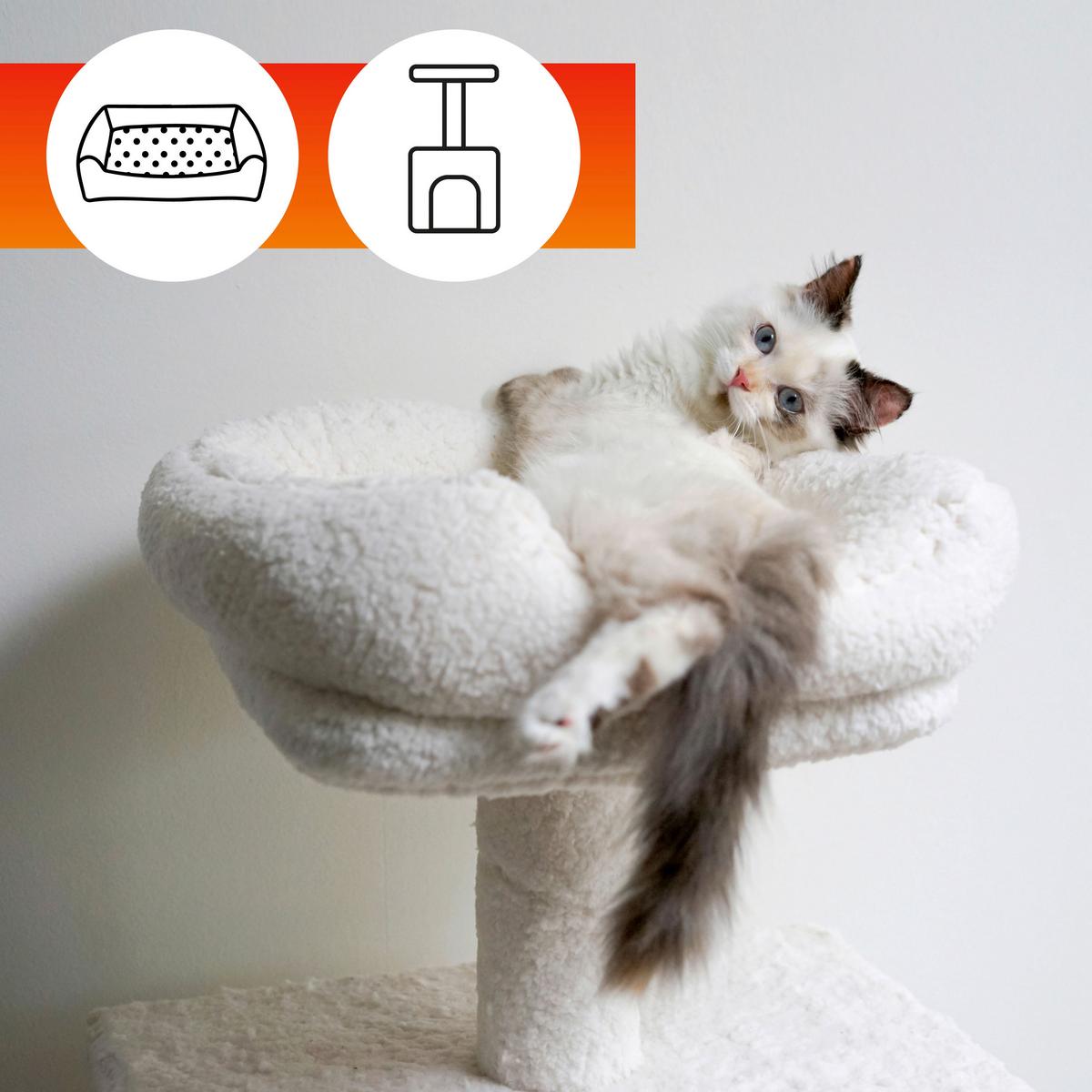 Stoffschutz Oa Odour Removal 500 Ml - Basics, Kunststoff (7,5/200/11cm)