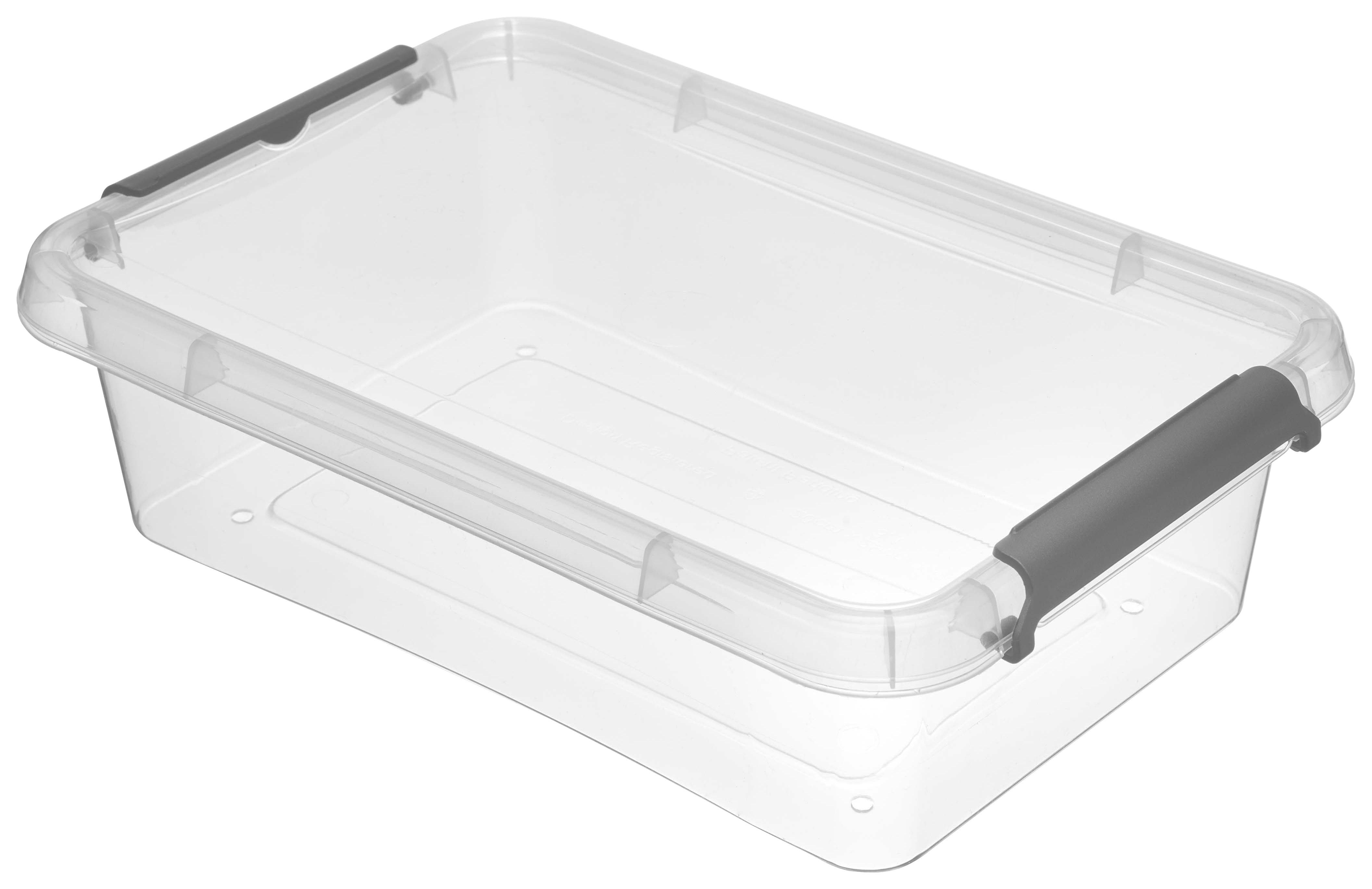 Aufbewahrungsbox Lara + Deckel Kunststoff 29x20x8 cm - Transparent, Basics, Kunststoff (29/20/8cm) - Homezone