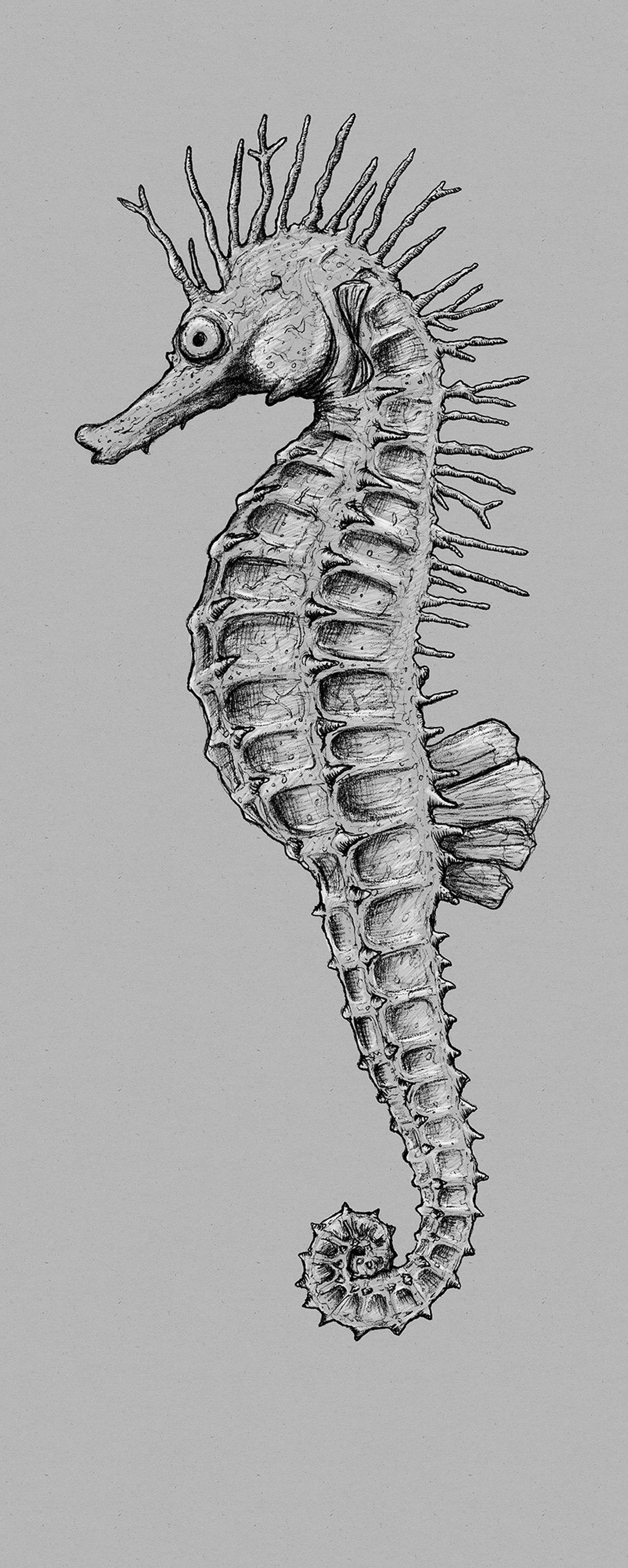 Vliestapete Seahorse Panel - Grau, Basics (100/250cm) - Komar