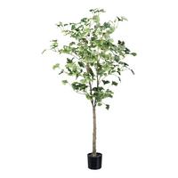 Kunstpflanze Ginkgo H: 120 cm - Schwarz/Braun, Design, Kunststoff (120cm) - P & B