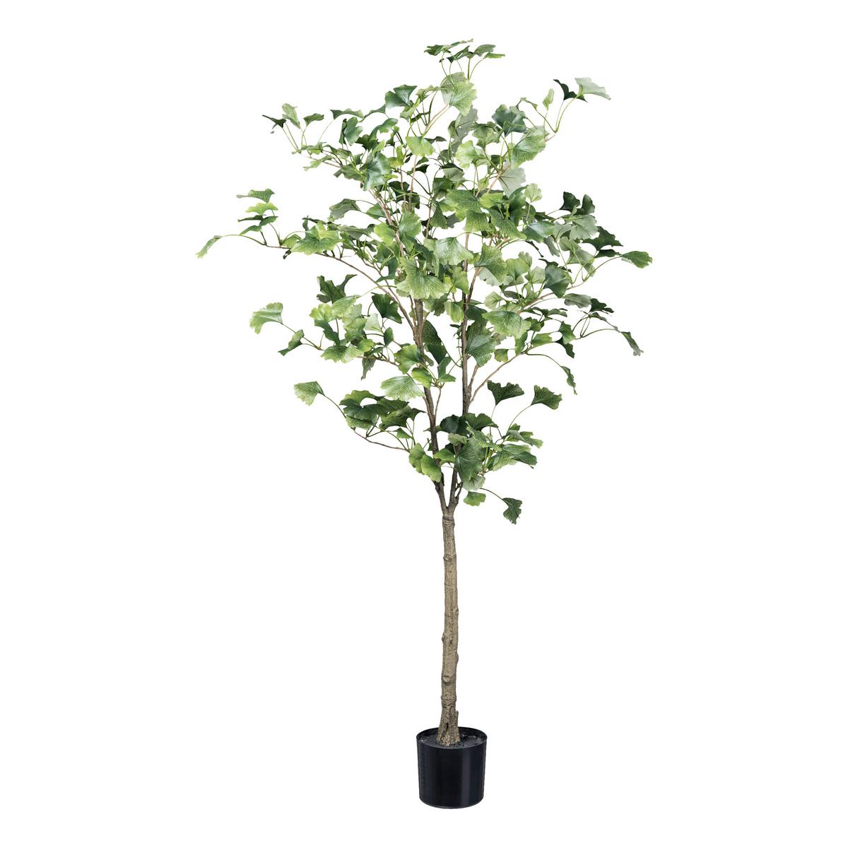 Kunstpflanze Ginkgo H: 120 cm - Schwarz/Braun, Design, Kunststoff (120cm) - P & B
