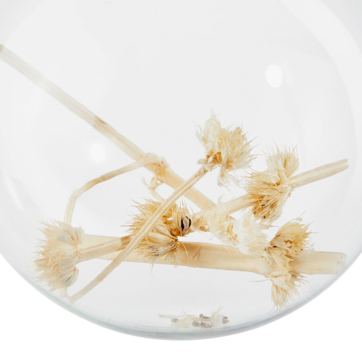 Christbaumkugel Glas Naturafraben/Transparent - Transparent/Naturfarben, MODERN, Glas (8cm)