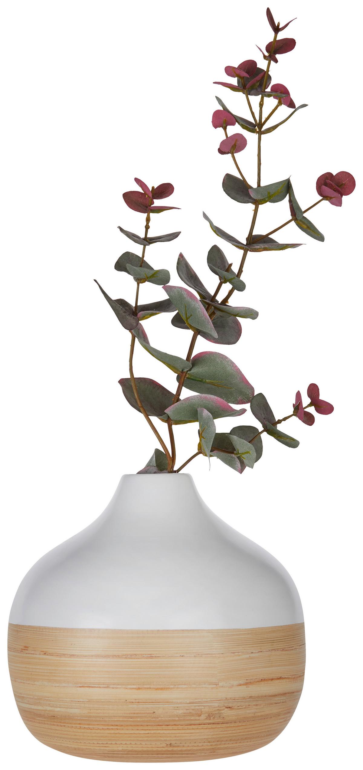 VÁZA NATURELLE - biela/prírodná farba, drevo (18/17cm) - Zandiara