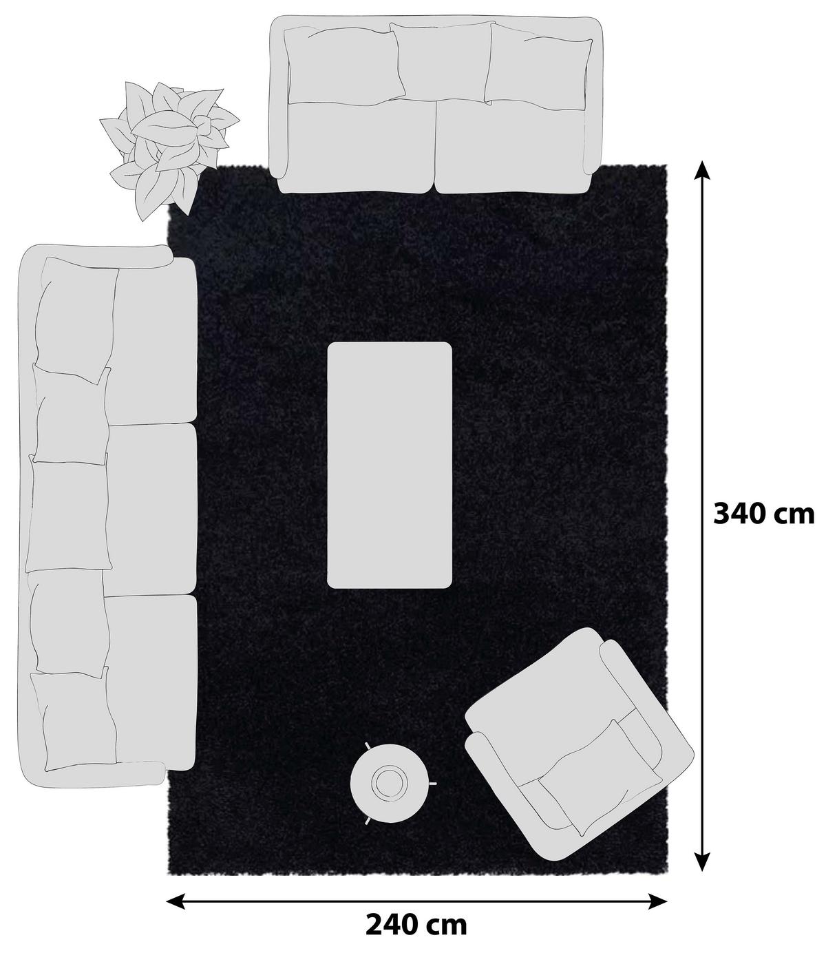 Hochflor Teppich Schwarz Naturfaser Sydney 240x340 cm - Schwarz, Basics, Textil (240/340cm)