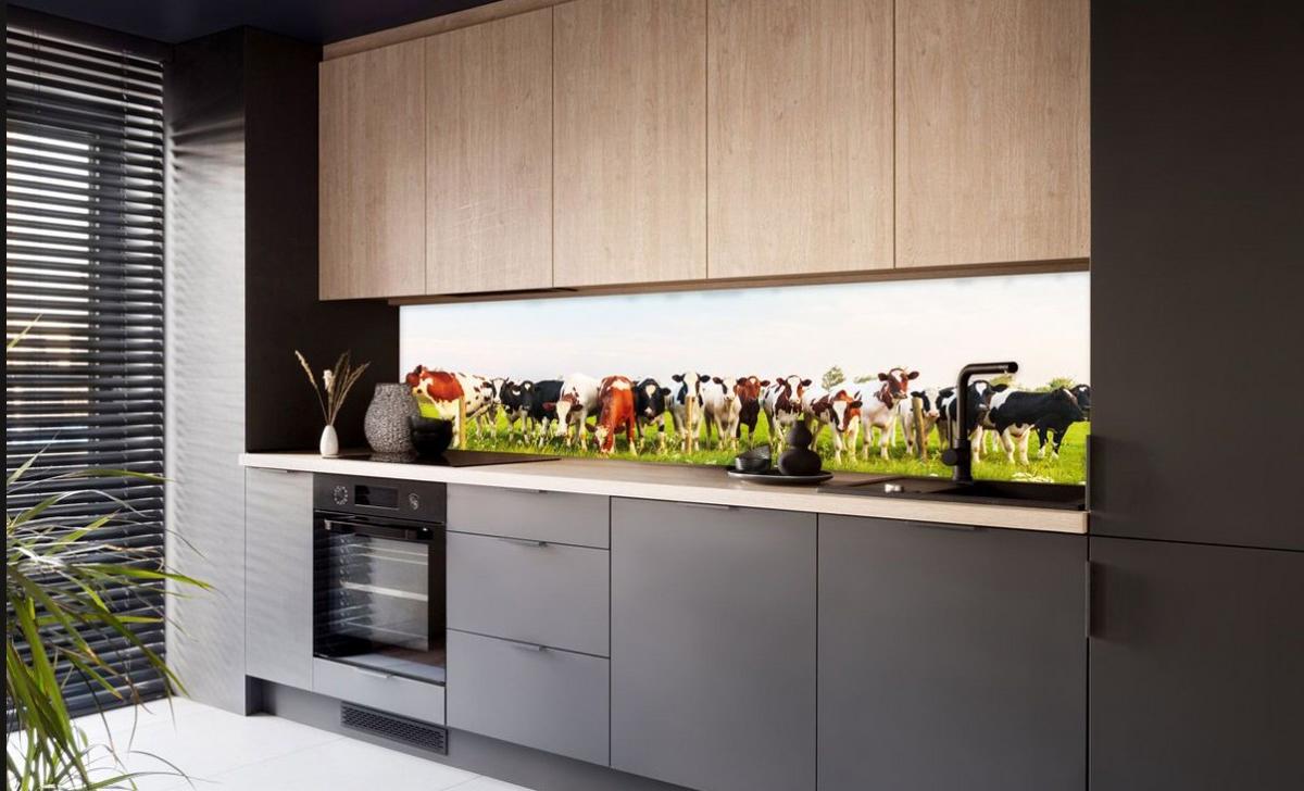 Nischenverkleidung M164sg - Blau/Gelb, MODERN, Kunststoff (220/56/0,6cm) - Fani