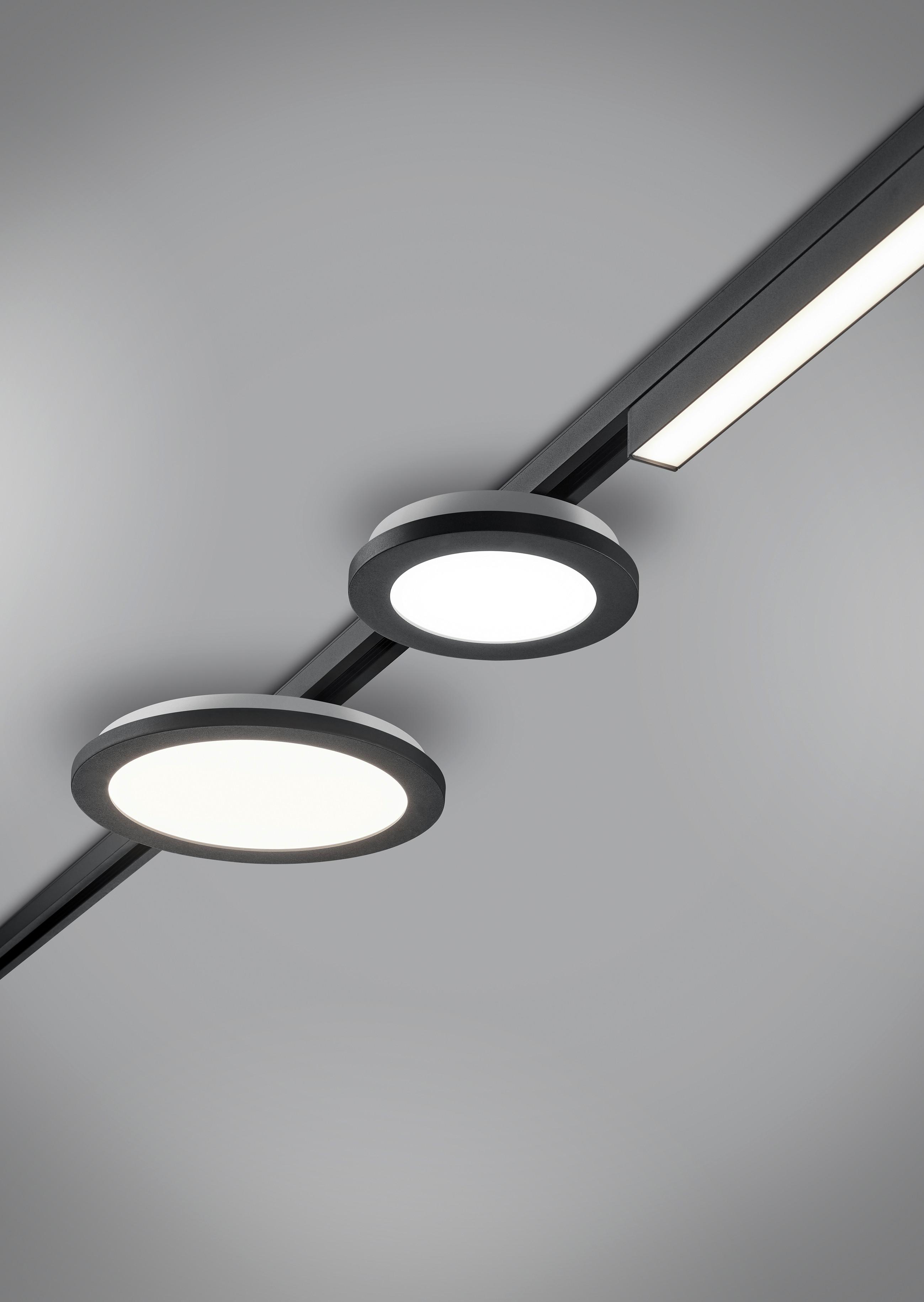 Deckenleuchte Duoline Camillus Ø 17 cm, für Schienensytem - Schwarz, Basics, Kunststoff (17,0/2,9cm) - Trio Leuchten