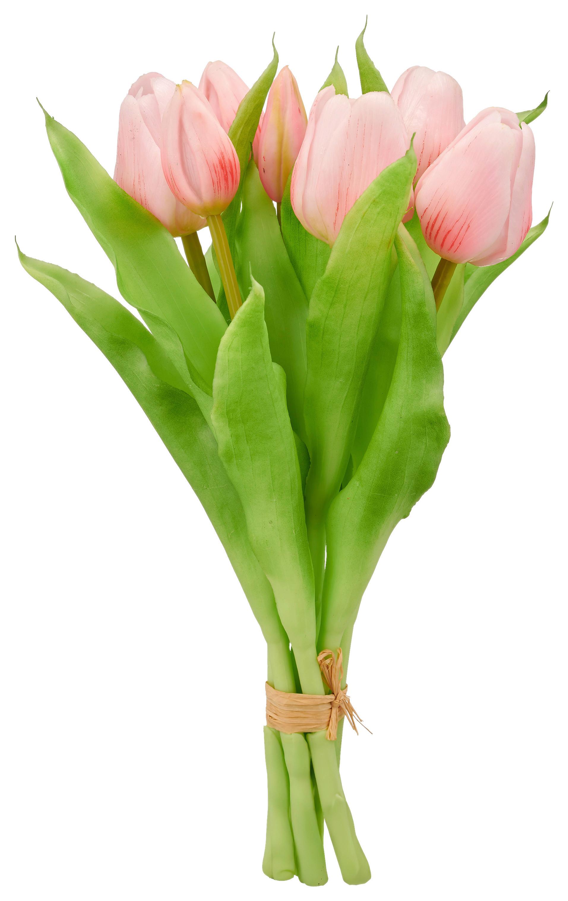 Tulipán TULPENBUND I - zelená/ružová, Basics, kov/plast (31cm) - Mömax
