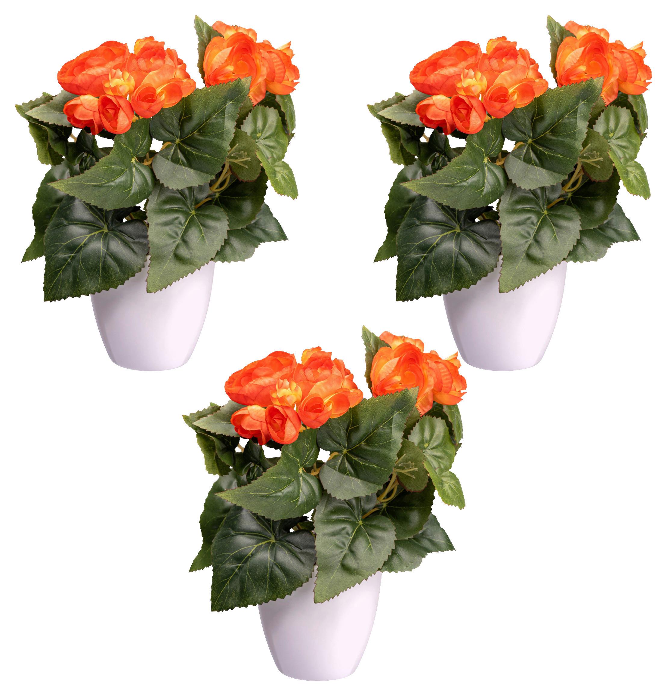 Kunstpflanze Blühpflanzen Orange/Grün/Weiß, 24 cm - Gelb/Orange, Design, Kunststoff (24cm) - P & B
