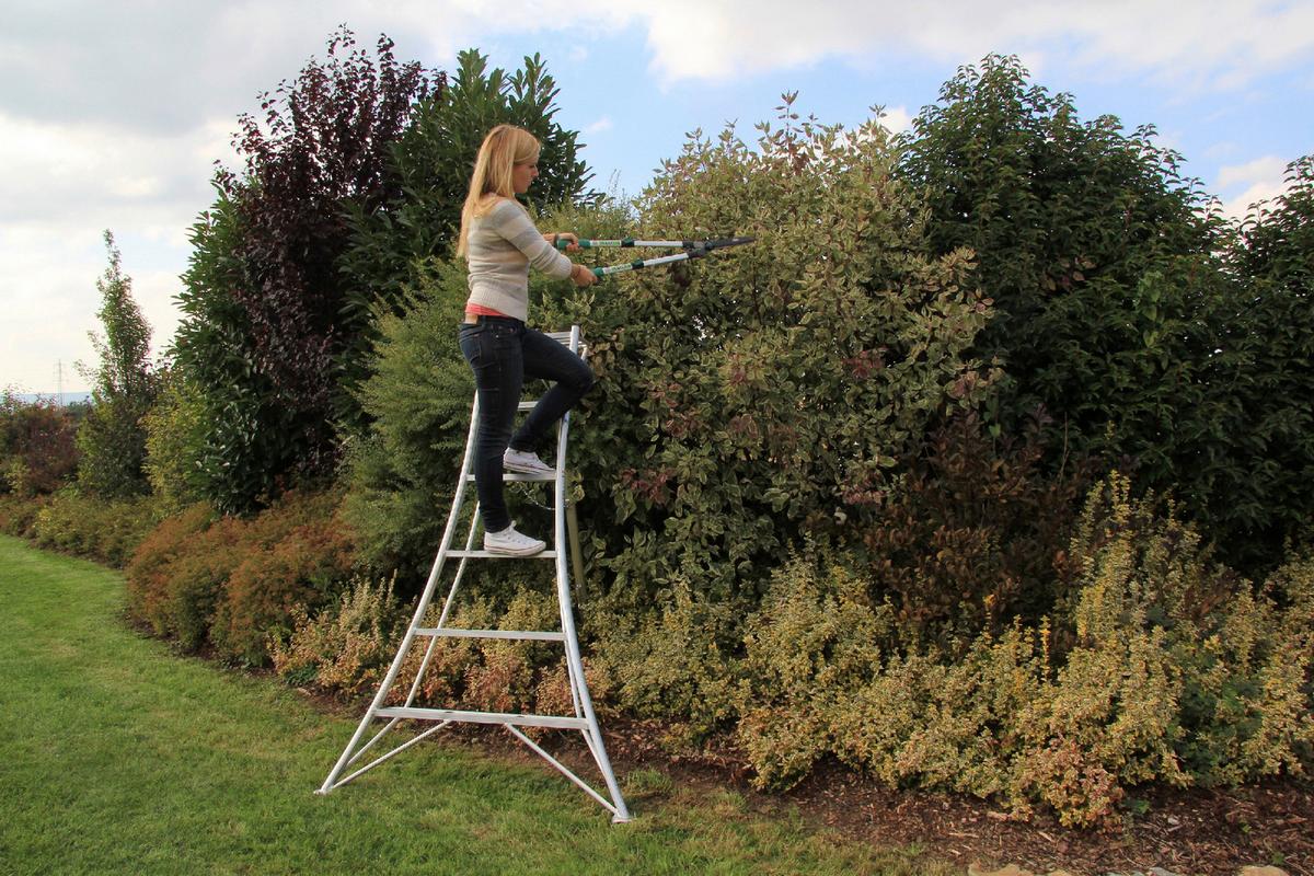 Leiter 3-Holm-Gartenleiter 180cm - Silberfarben, Basics, Metall (125/180/20cm)