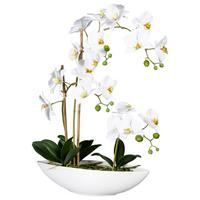 Kunstpflanze Orchideen Grün/Weiß, 60 cm - Weiß/Grün, Design, Keramik/Kunststoff (60cm)