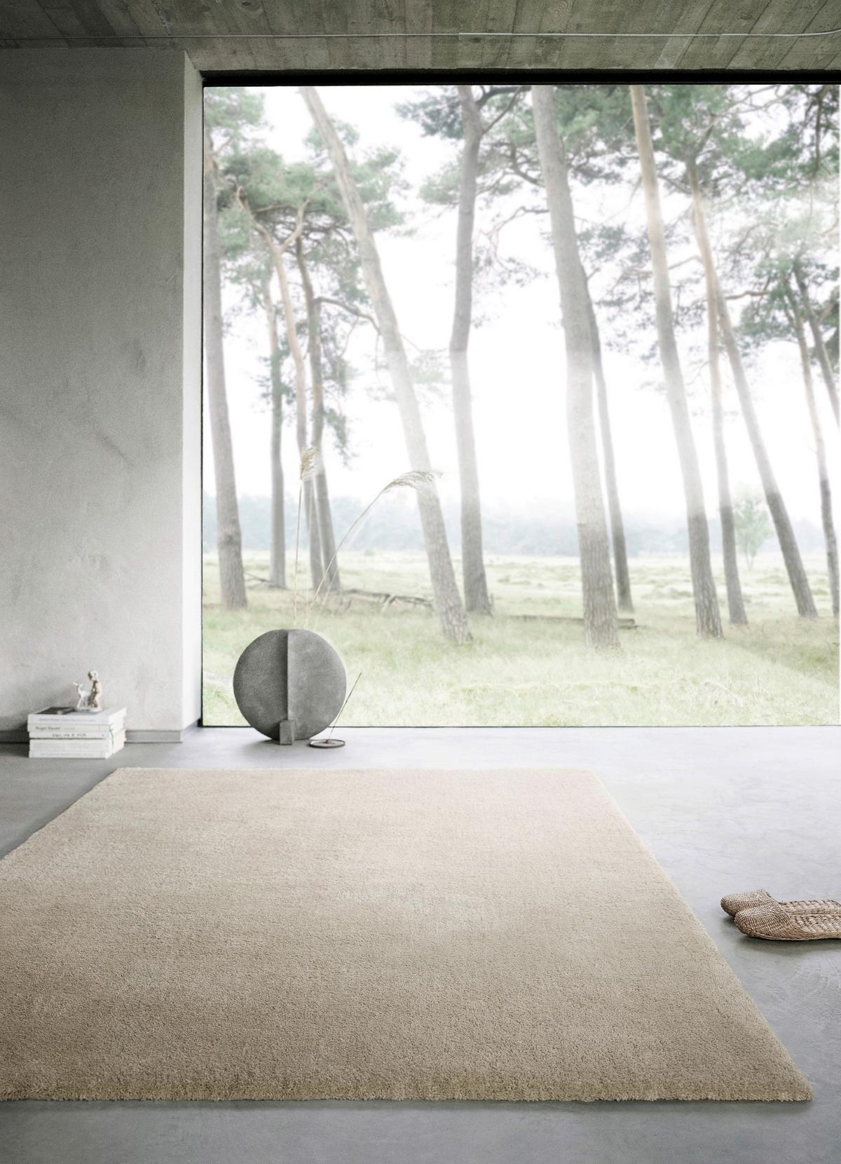 Hochflorteppich Emilia - Beige, Design, Textil (200/290cm) - WECON HOME BASIC