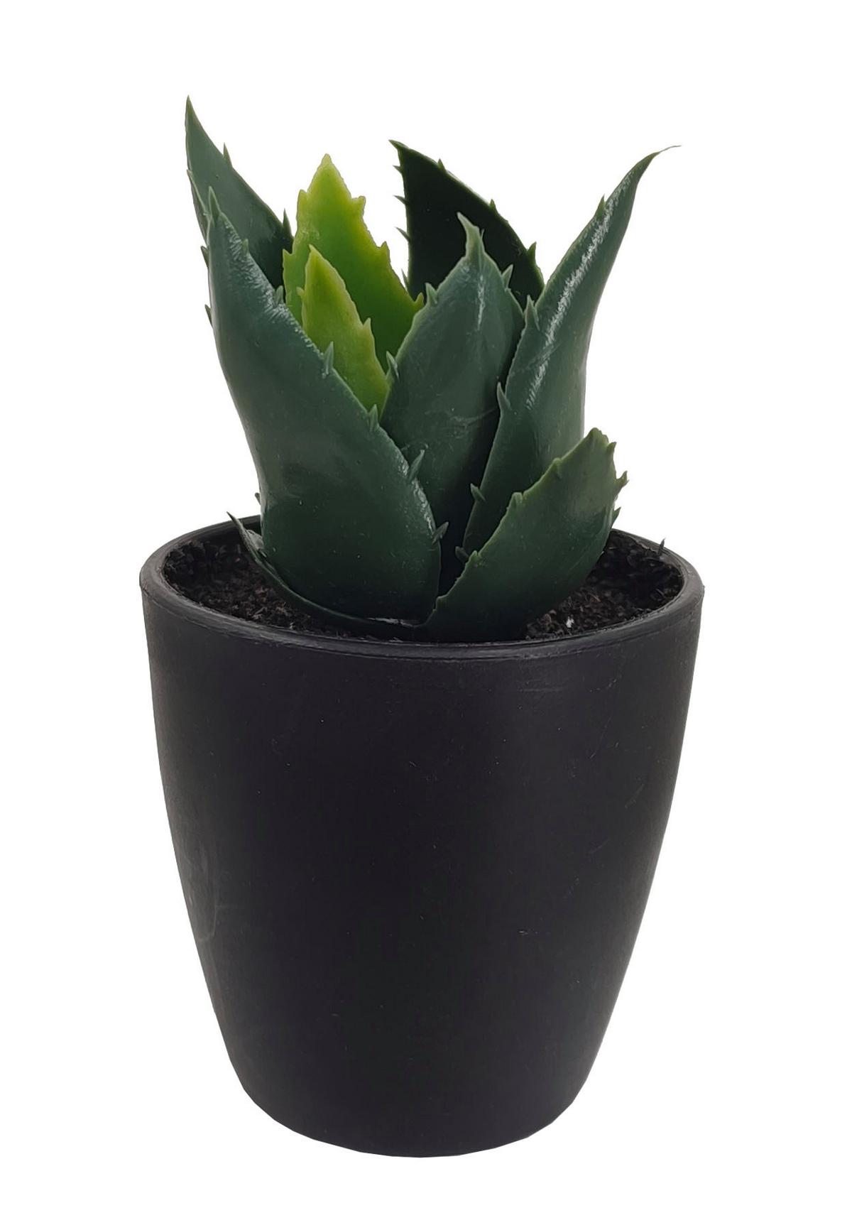 Kunstpflanze Isabella - Weiß/Grün, MODERN, Kunststoff (8/9-16cm) - Luca Bessoni