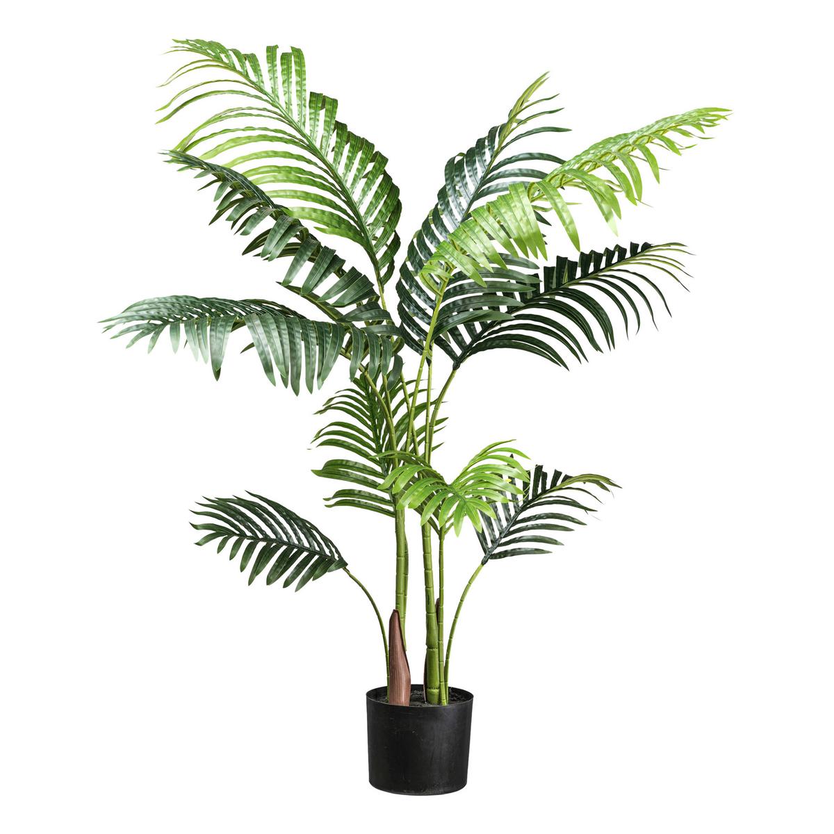 UMĚLÁ ROSTLINA KENTIAPALME II - černá/zelená, Basics, plast (110cm) - Modern Living