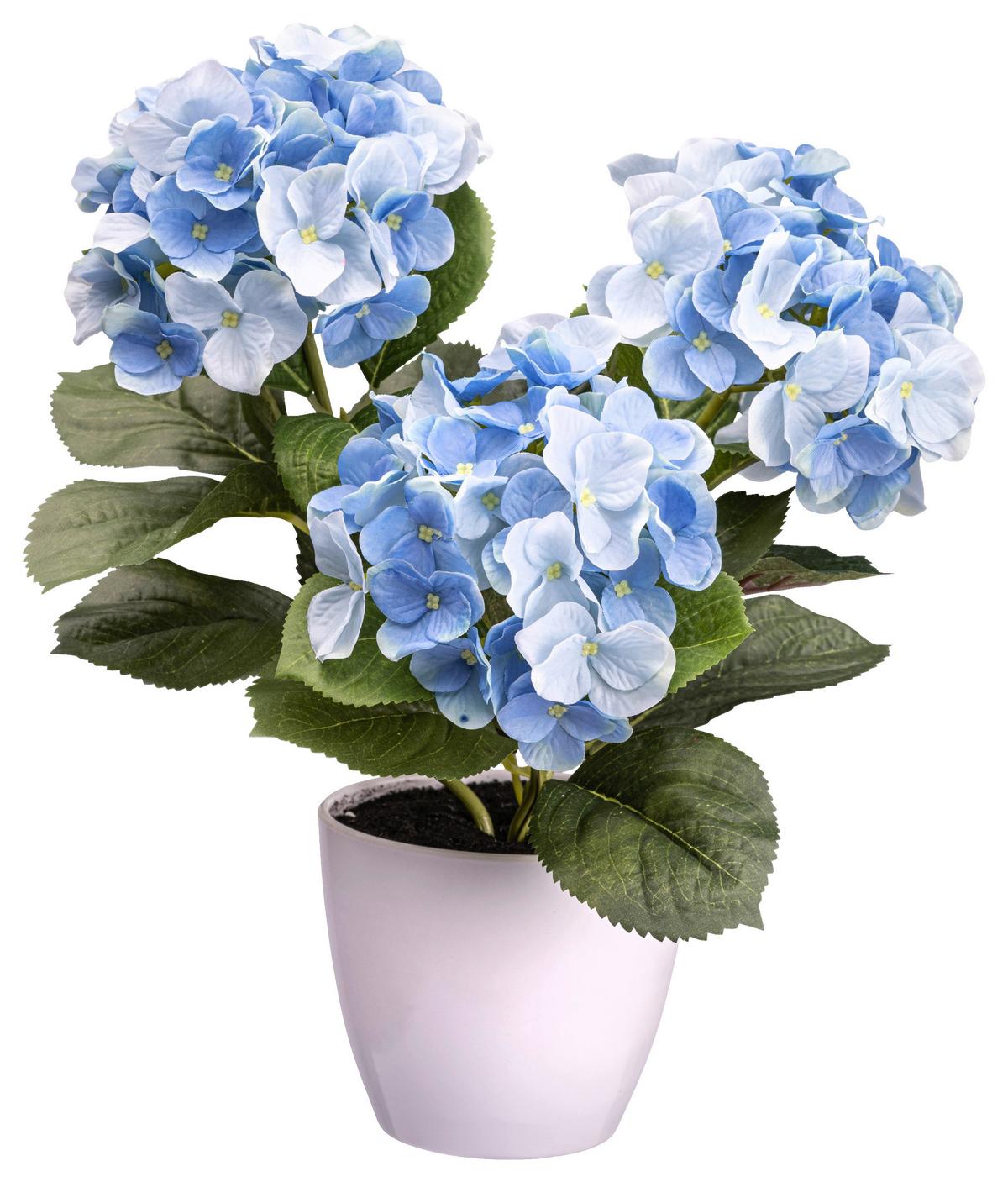 Kunstpflanze Blühpflanzen Blau/Grün, 32 cm - Blau/Grün, Design, Kunststoff (32cm) - P & B